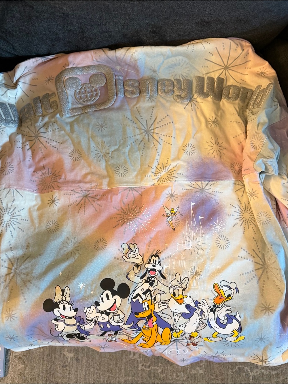 Disney Pastel Rainbow Character Sweatshirt with Sparkle Logo